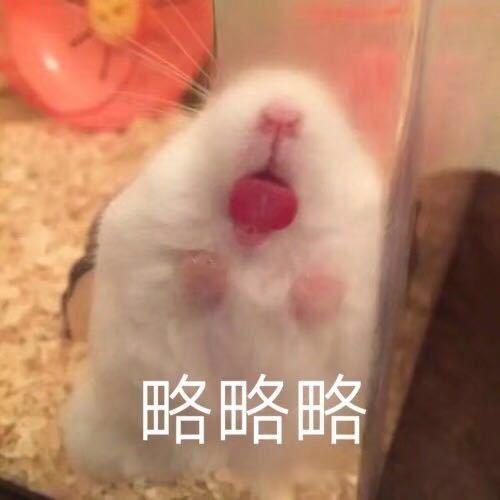 略略略!