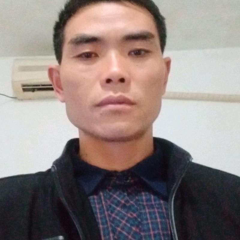 无烟煤炭质量保证