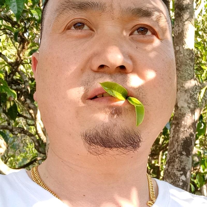 啊军瑞丰号茶行