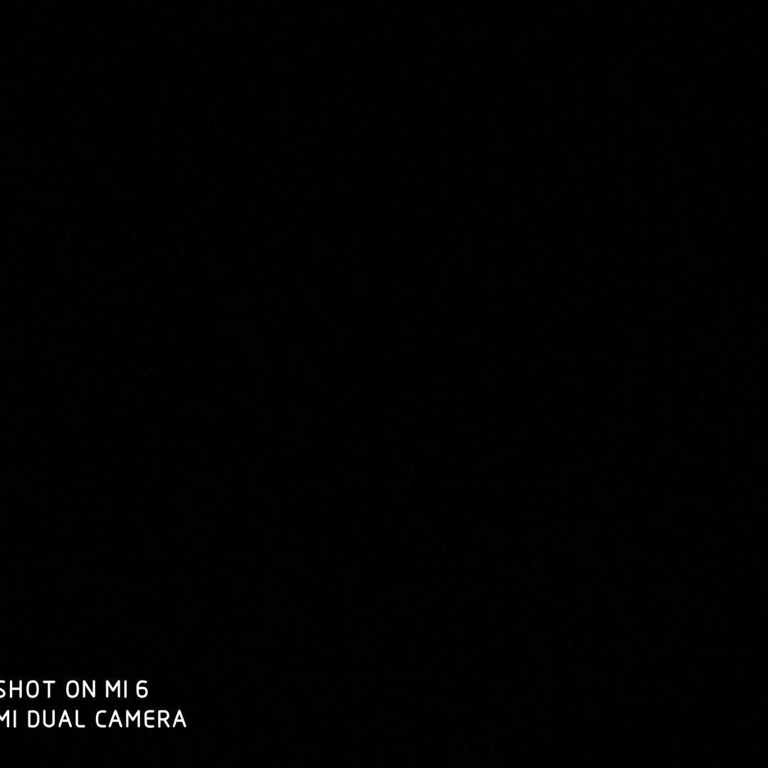 …花落ベ莫相离