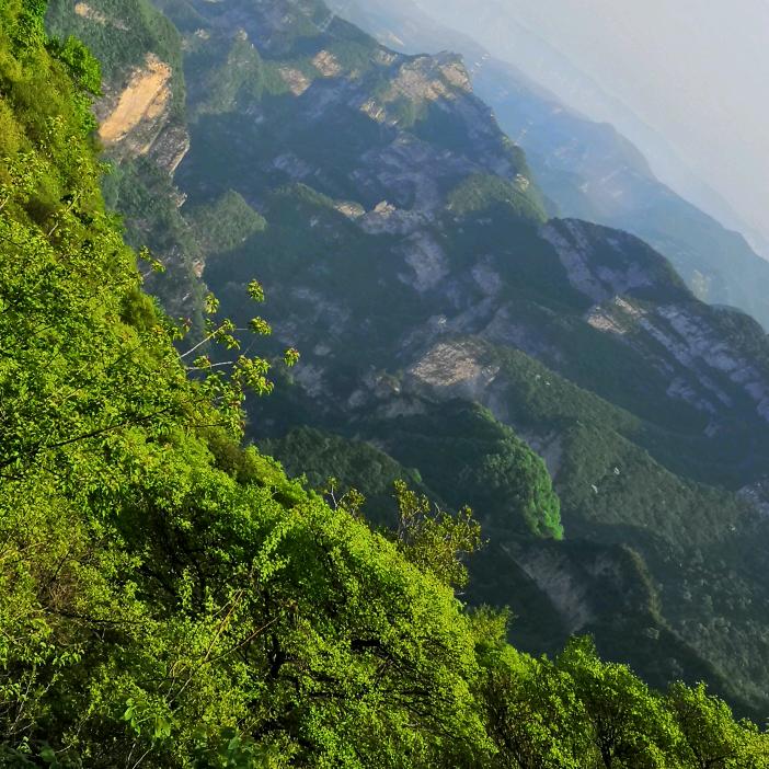 顺其自然
