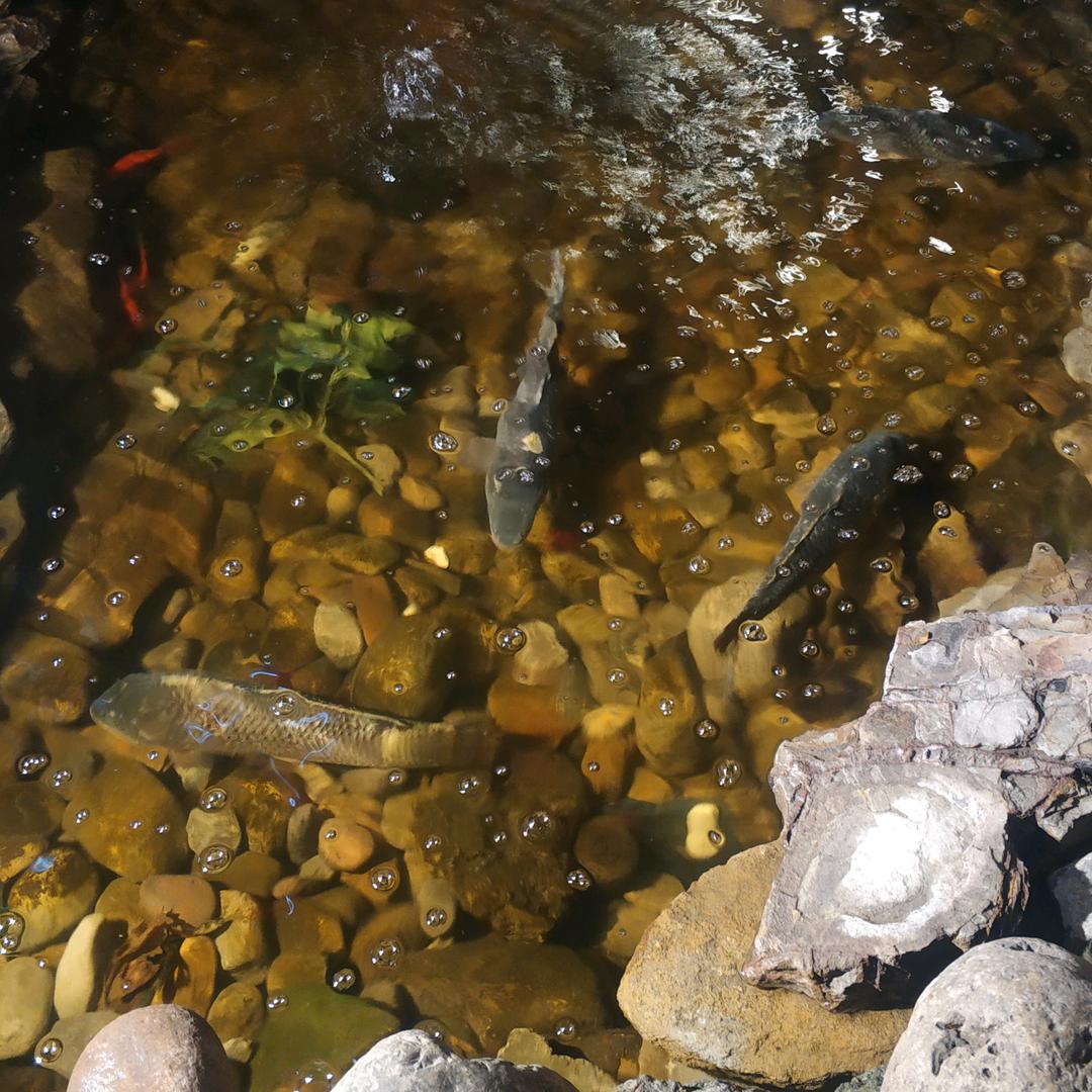 交叉路口/满血复活做牛马