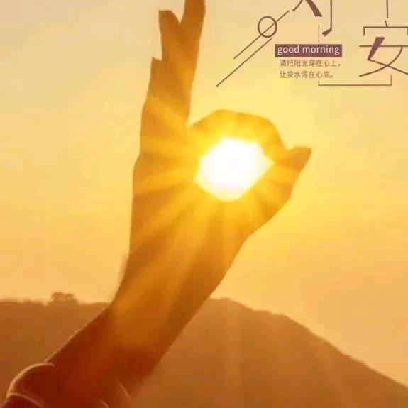 可心8