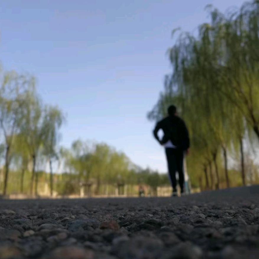 杰尼龟