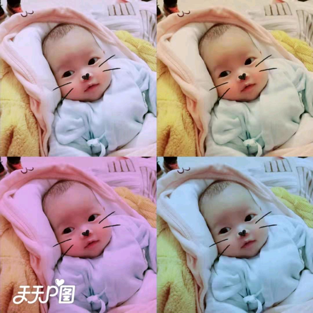 雨后蔡虹😊;。。、,丨