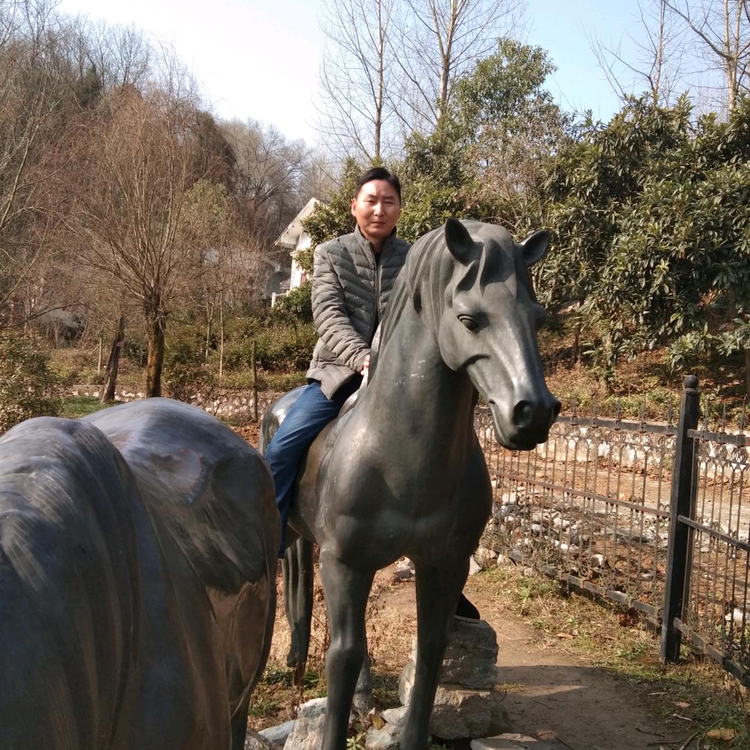 抖王子