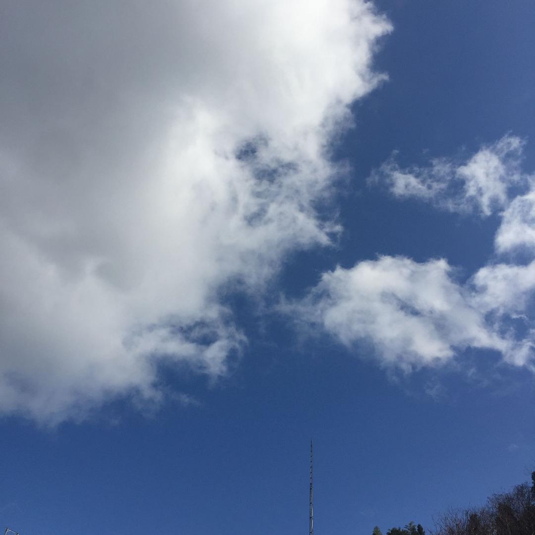 红叶