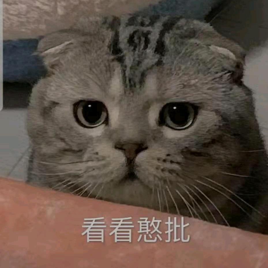 小熊🐻不会杀球