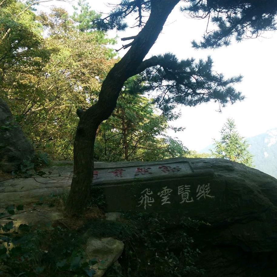 陈立娣