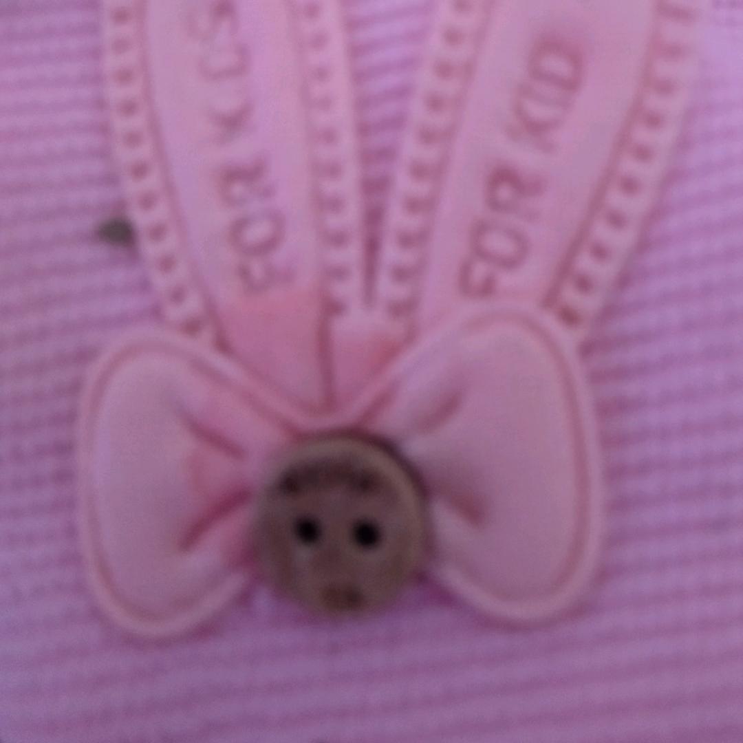 🌺生命的执着🌺