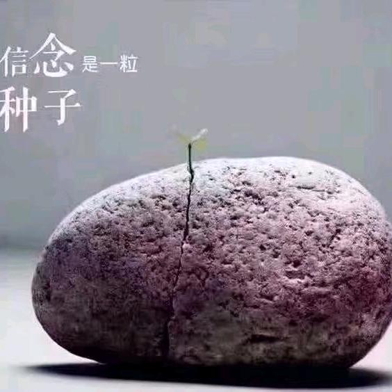 等待你的爱