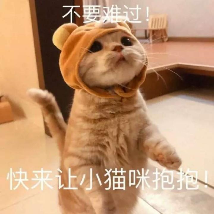 倾听