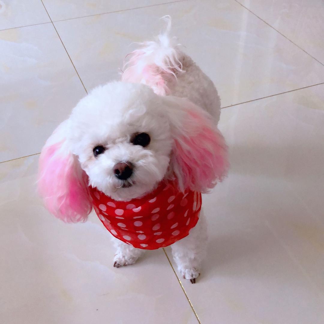 网红点点