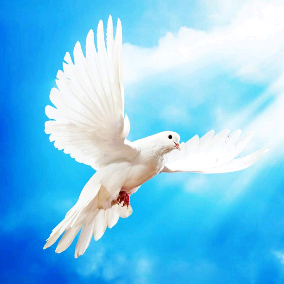 永莉~喜乐的心是良药❤