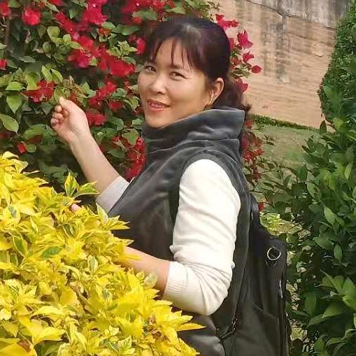 琴格格