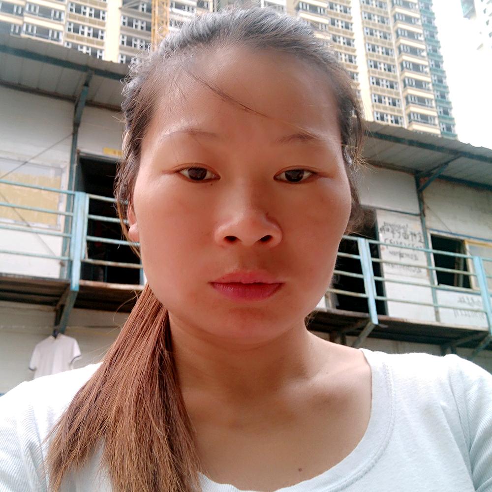 🌸🍃🌾海燕子🌾🍃🌸