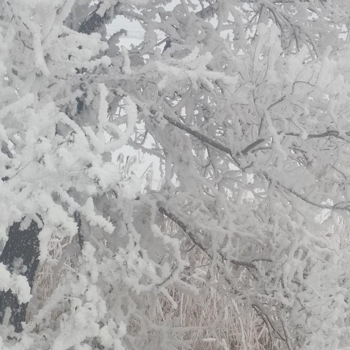 东北小流氓强少