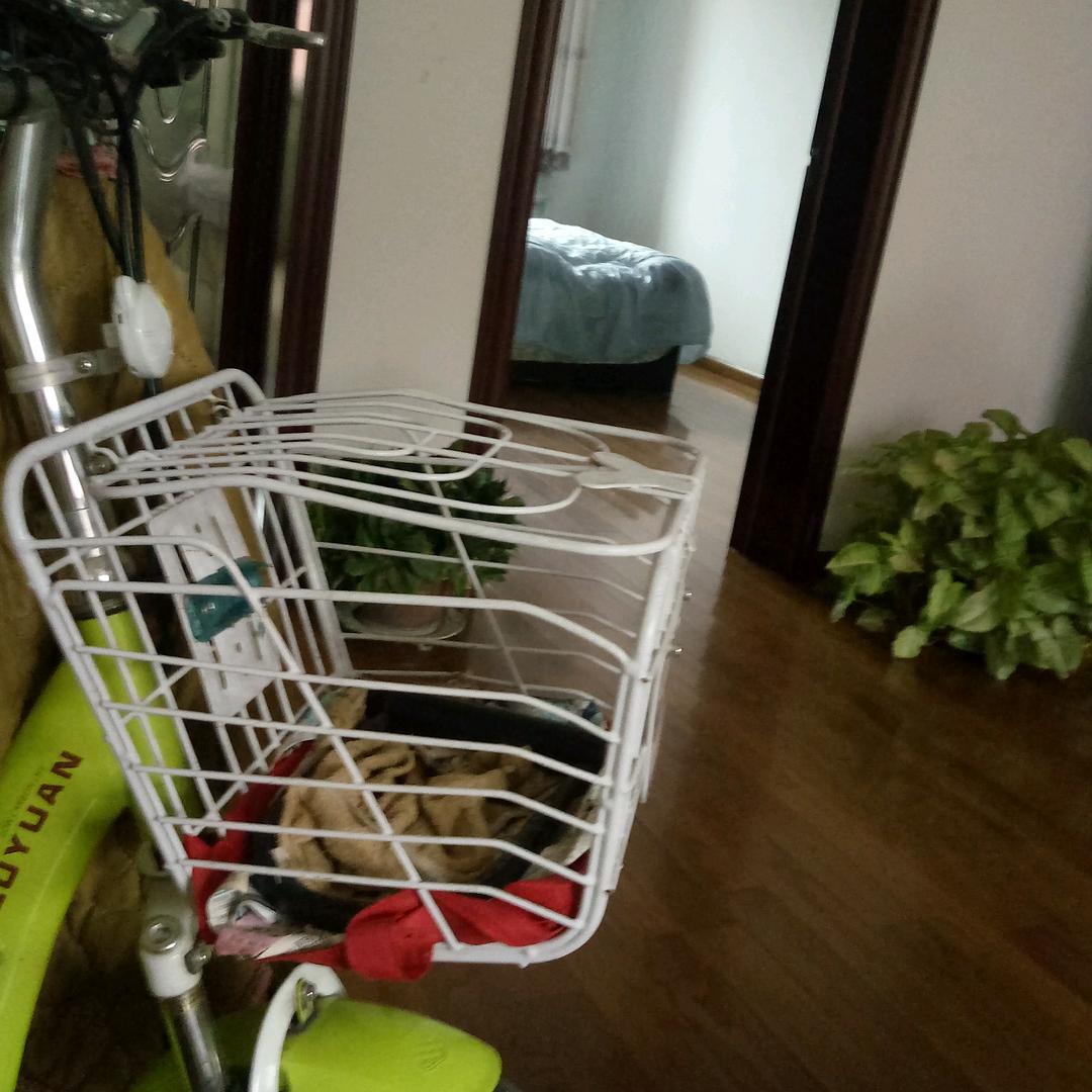 白云飘飘