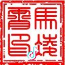 A华晓 马