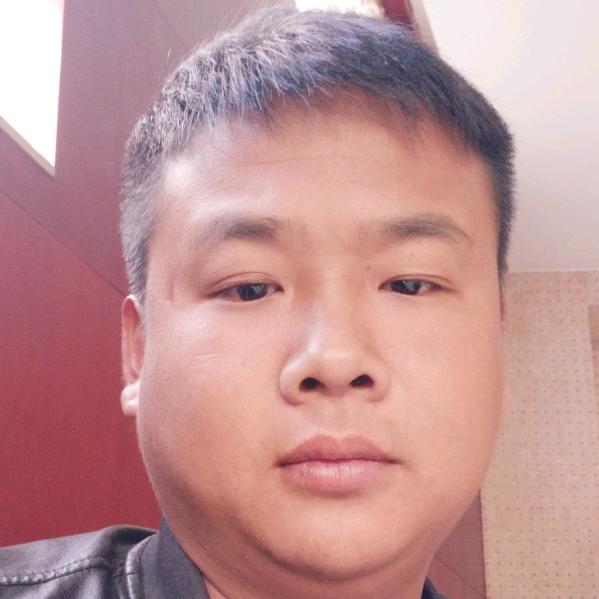 豫P刘先生冷藏快运