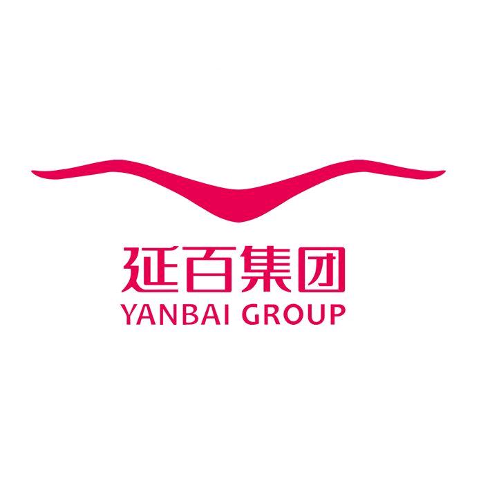 陕西延百集团有限公司