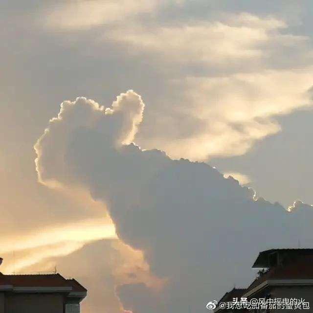 联塑管道淮南运营中心