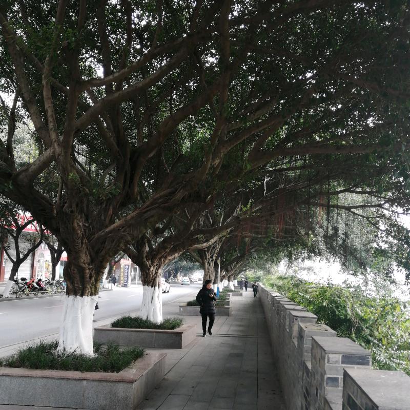 残年忘梦