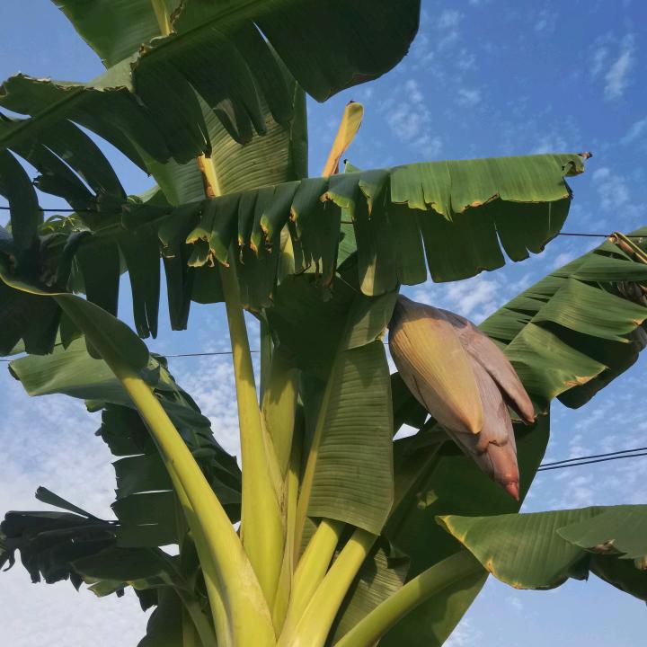 印象祥瓷