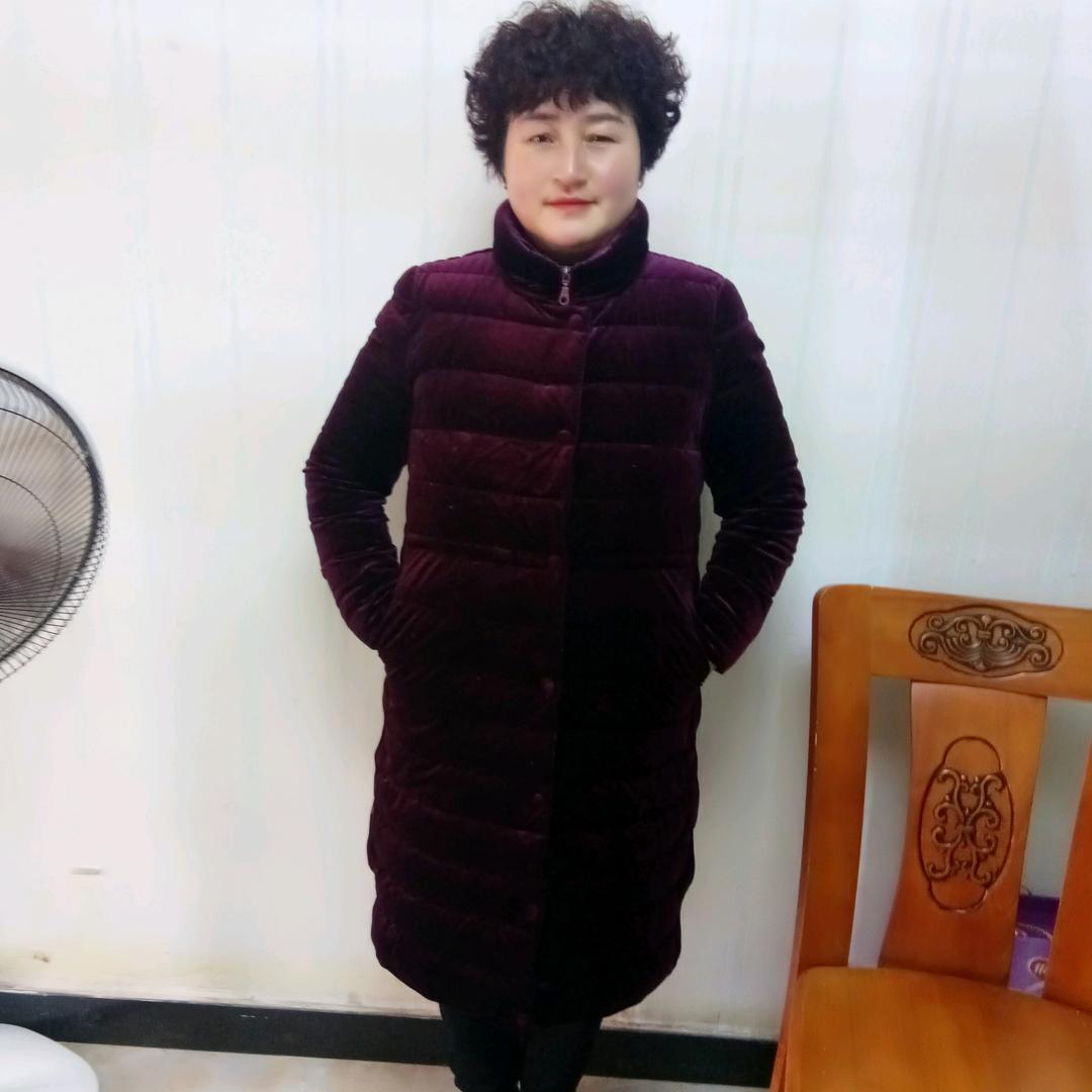 含羞草