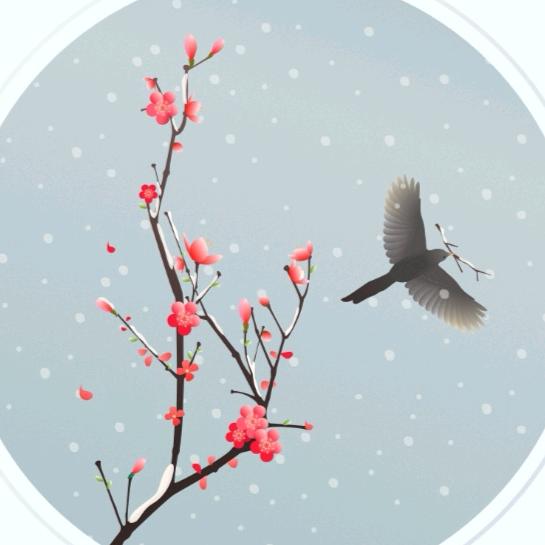 梅花点点斗寒风