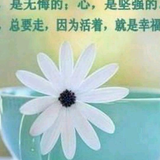 无悔ygx