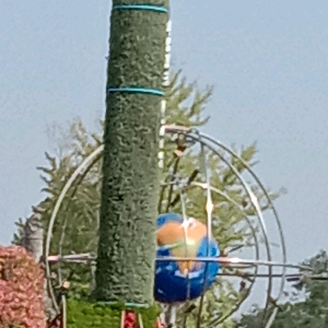 用户7897715781893天竺