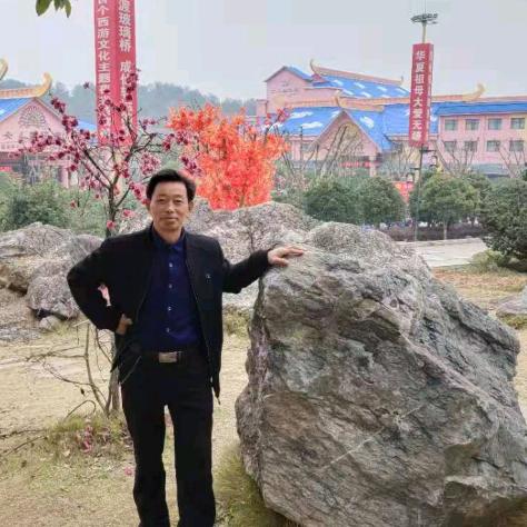楚楚