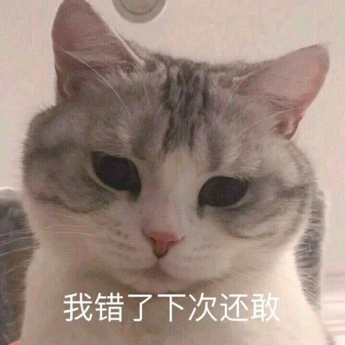 哪有好人啊