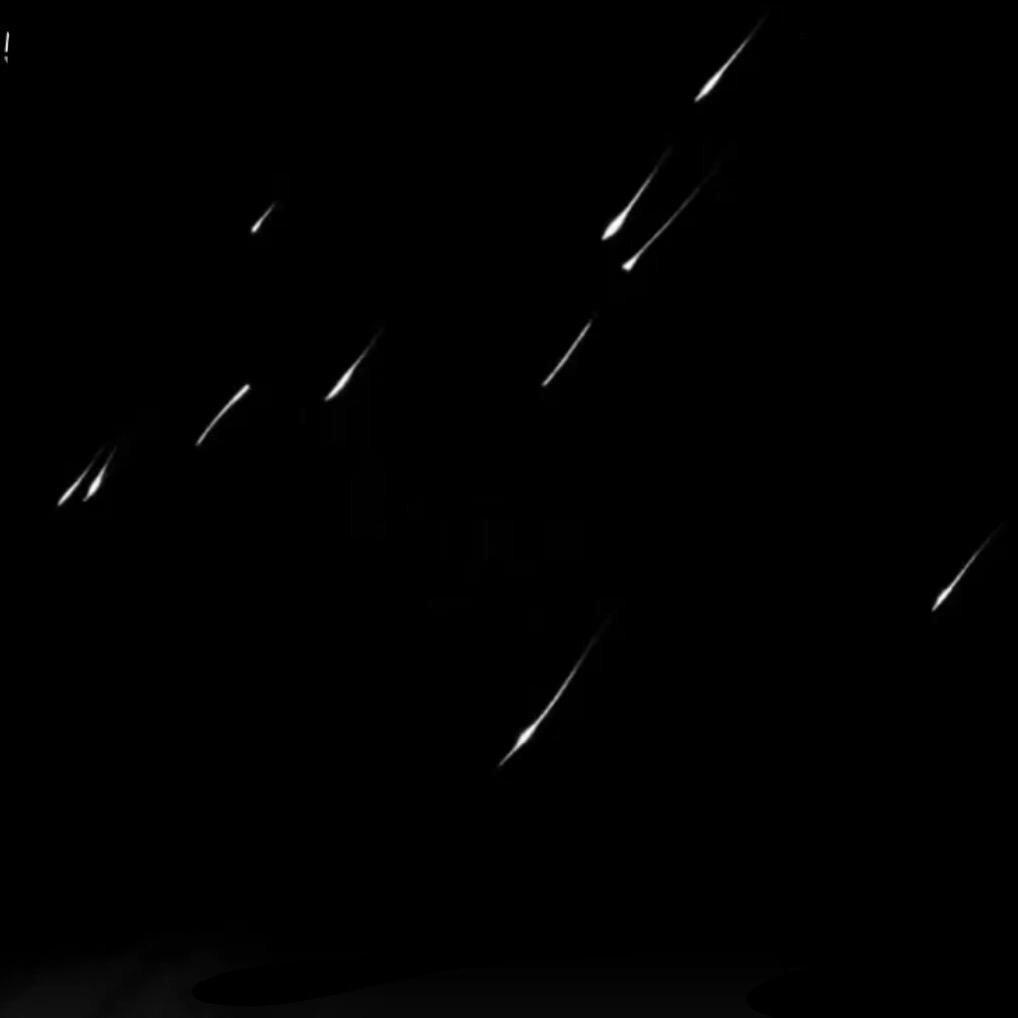 ʚ🐷ྀིྀིɞ会飞