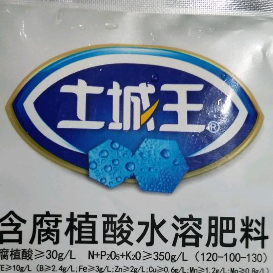 土城王