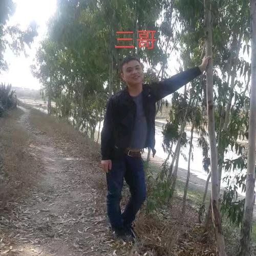 li三哥