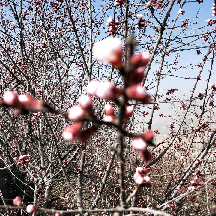 顺驰精品二手货车批发