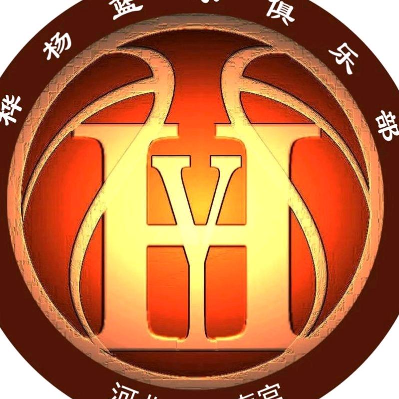 桦杨篮球