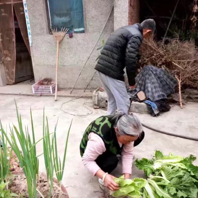 娜杨么么哒