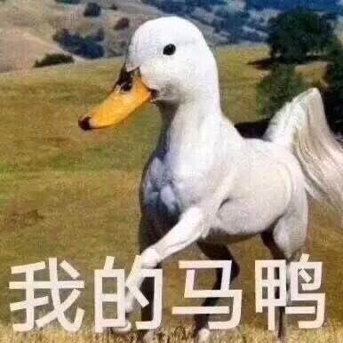 玉(玊su)