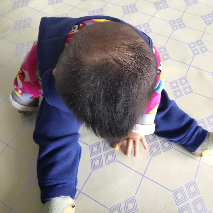 肖小肖dx