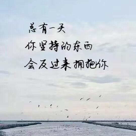 醉挽清风666