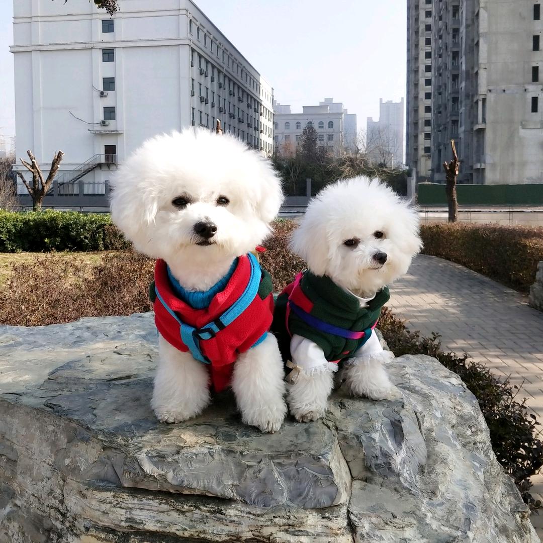 开心💕