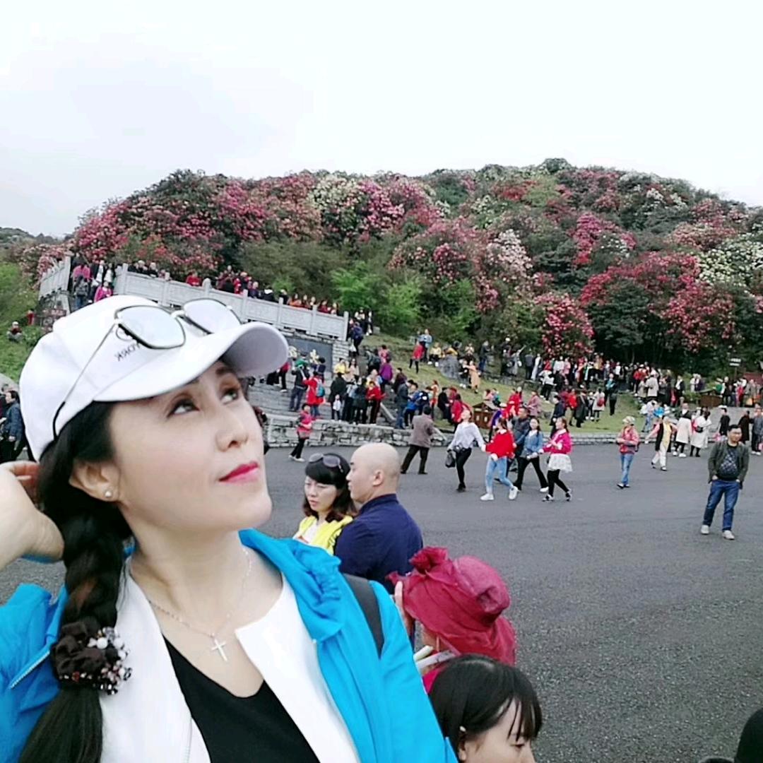 燕儿
