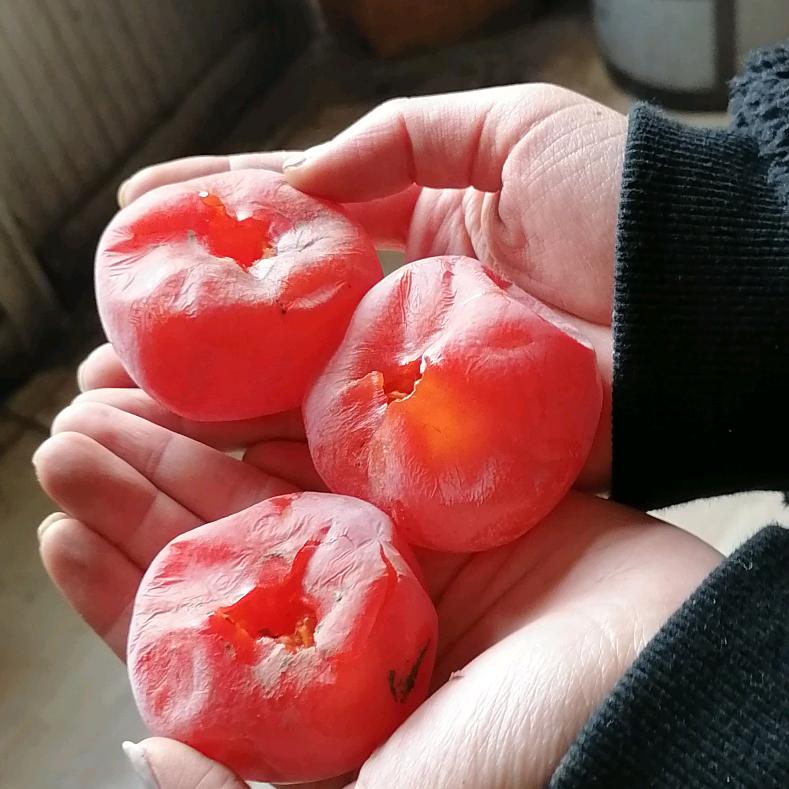 清风暖阳