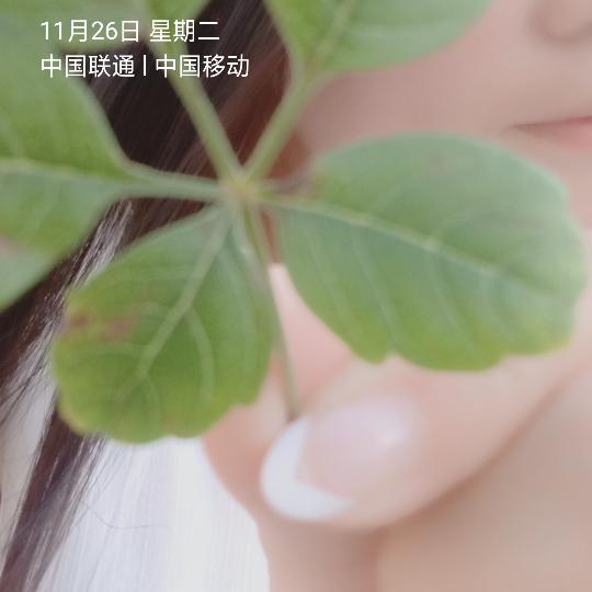 镇平县香秀美容美甲店