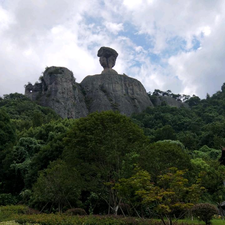 企浩女鞋