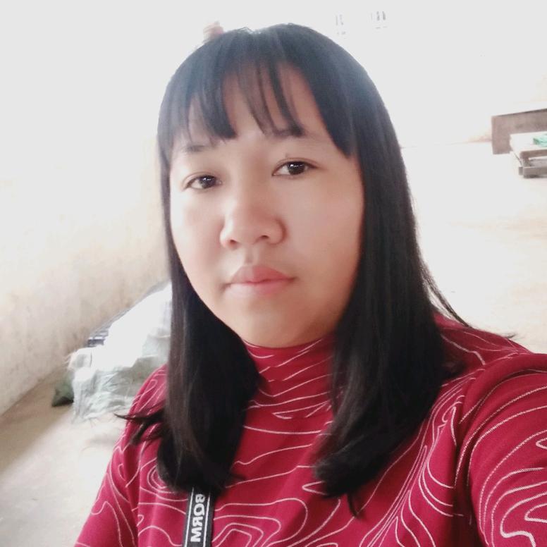 晨晨