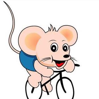 合川吉臻驾校段奎